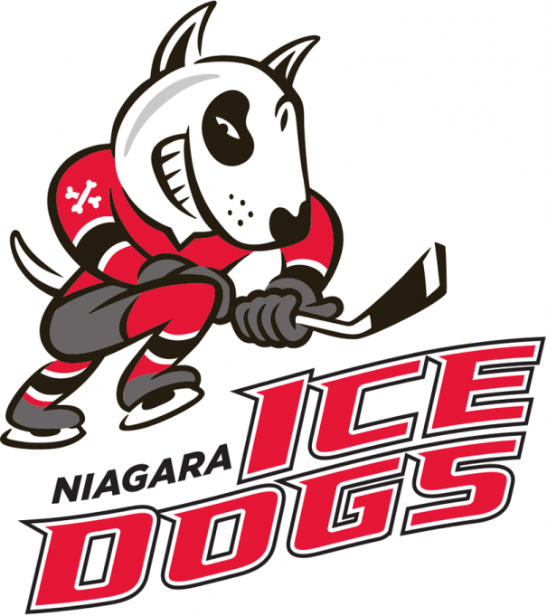 Hamilton Bulldogs vs. Niagara IceDogs at FirstOntario Centre