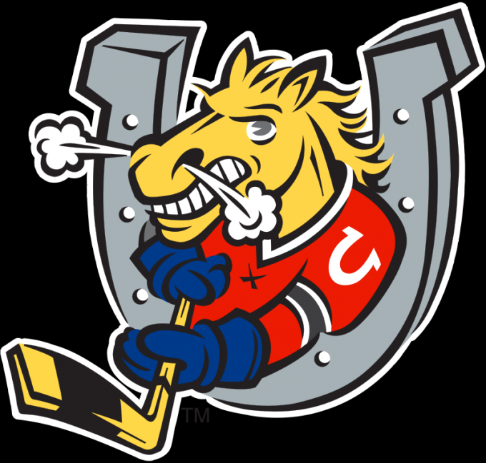 Hamilton Bulldogs vs. Barrie Colts at FirstOntario Centre