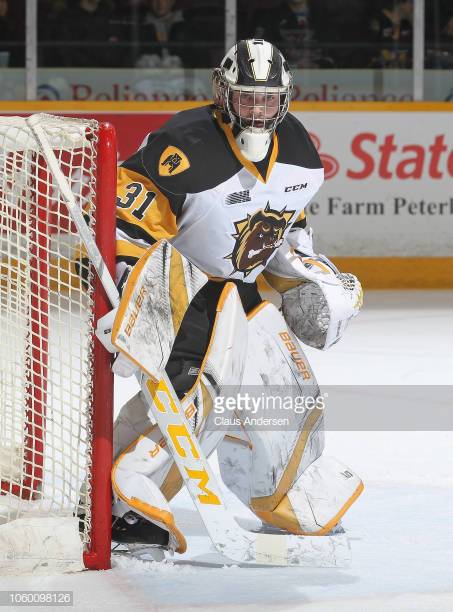 Hamilton Bulldogs vs. Peterborough Petes at FirstOntario Centre