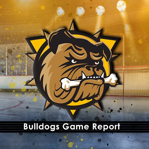 Hamilton Bulldogs vs. Sudbury Wolves at FirstOntario Centre