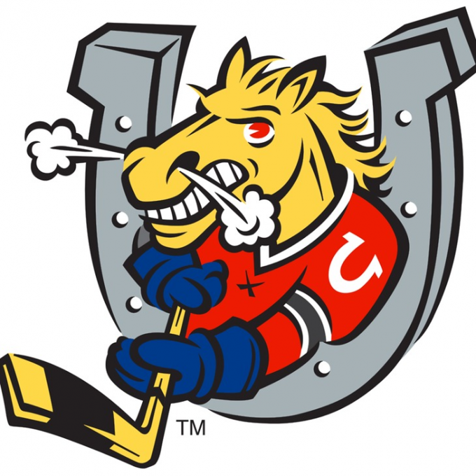 Hamilton Bulldogs vs. Barrie Colts at FirstOntario Centre