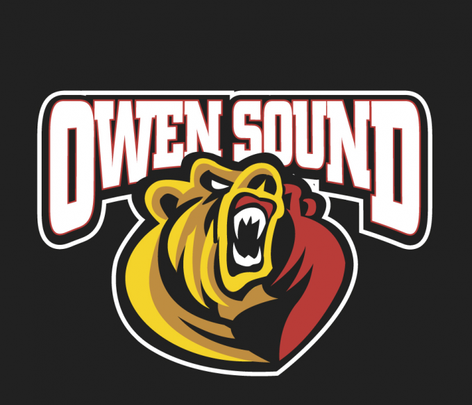 Hamilton Bulldogs vs. Owen Sound Attack at FirstOntario Centre